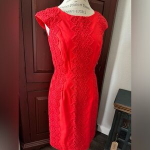 NWT Antonio Melani Size 6 Firework Reeno Dress